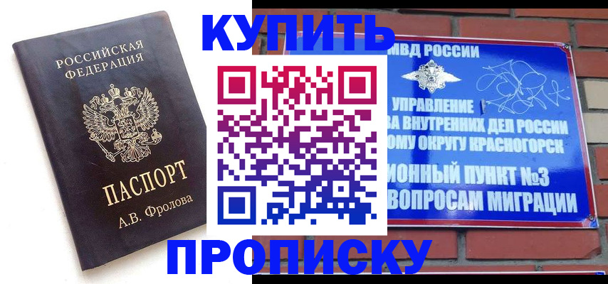 прописка поиск в Коле